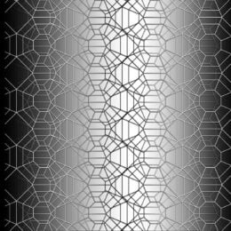 Web Ombre Black & White