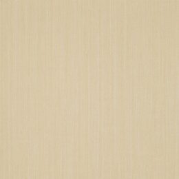 Rock N Roll - Backstage Beige Wallcover