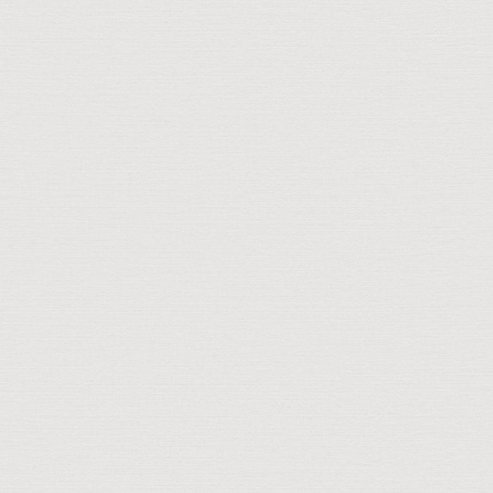 Boka Silk - Naturally Neutral - Wallcover