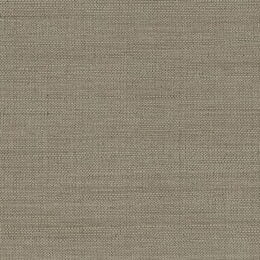 Obana - New Trail Wallcover