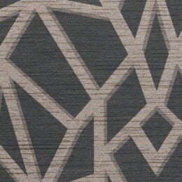 Dhani Geo - Cyberspace Wallcover