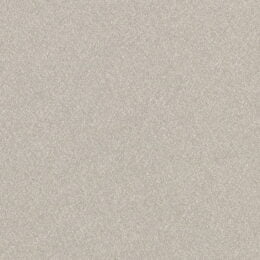 Matisse Texture - Argent Wallcover