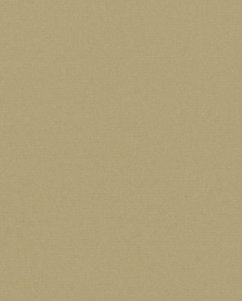 Matisse Texture - Minouche Wallcover