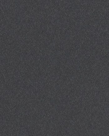 Matisse Texture - Noir Wallcover