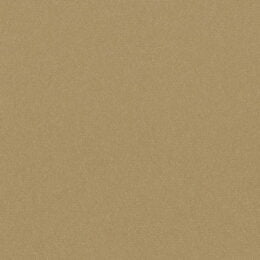 Matisse Texture - Champagne Gold Wallcover