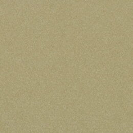 Matisse Texture - Kaki Wallcover