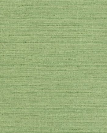 Shima Texture - Lawn Club Wallcover