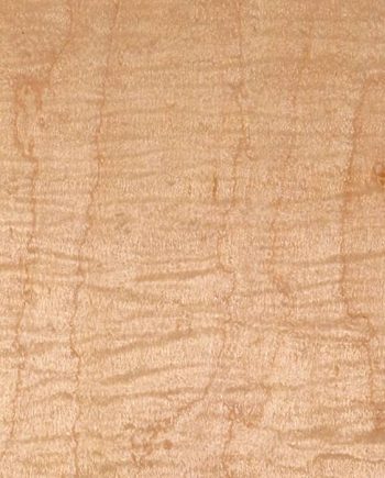 Maple White Curly RC