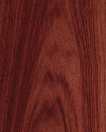 Rosewood East Indian FC Recon