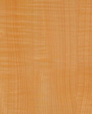 Sycamore English Figured QC