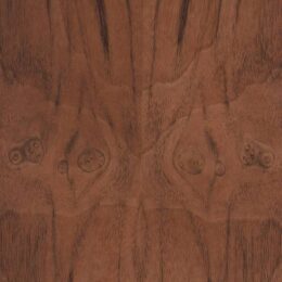 Walnut American Burl