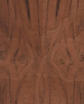 Walnut American Burl